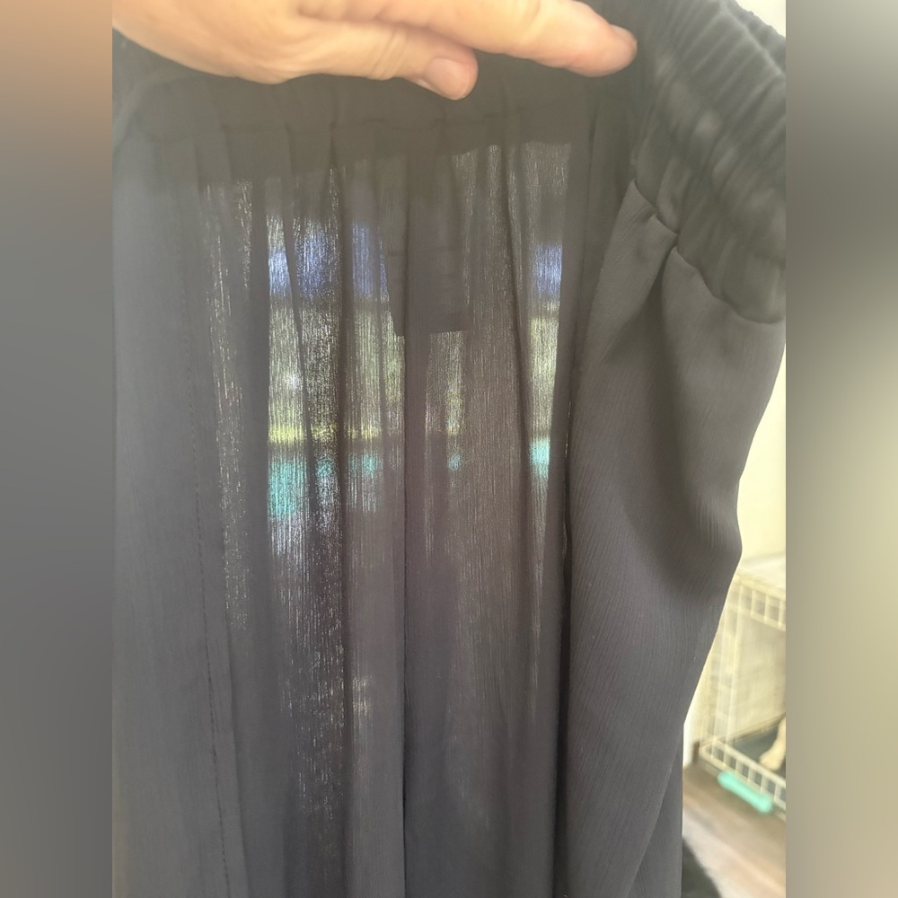Time and Tru Sheer Black Pants - Picture 5 of 5